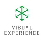 Visual Experience